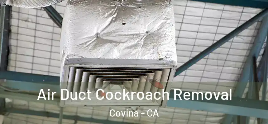 Air Duct Cockroach Removal Covina - CA