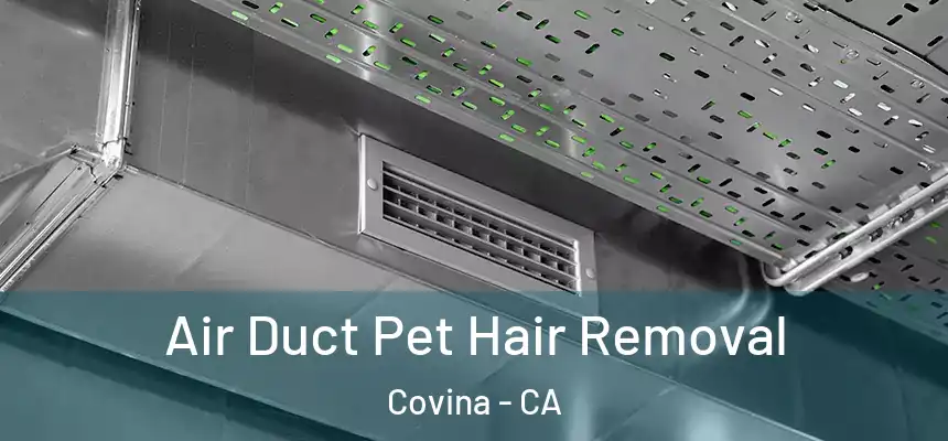  Air Duct Pet Hair Removal Covina - CA
