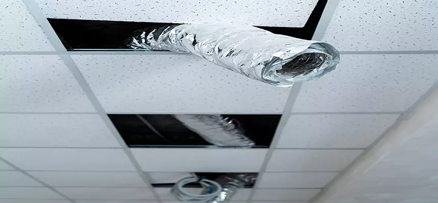 Affordable HVAC Sanitizing After Pest Removal in Covina