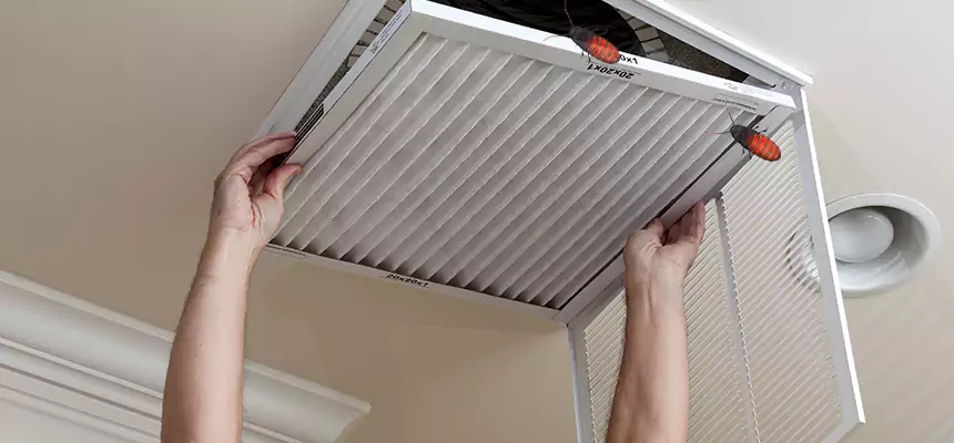 Our Insect Removal from Air Ducts Services in Covina, CA