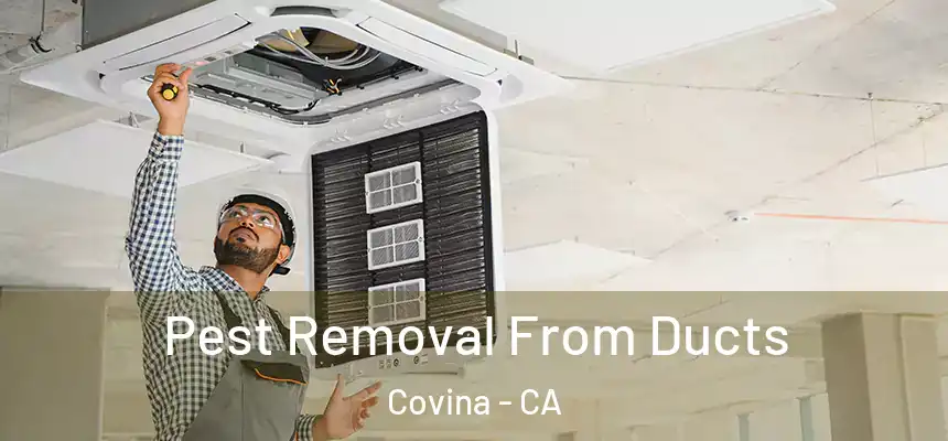 Pest Removal From Ducts Covina - CA