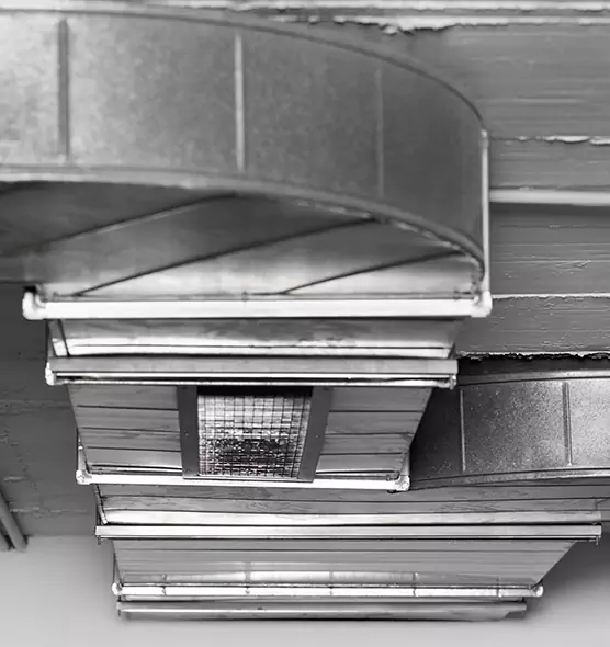 Professional Air Duct Pest Removal in Covina, CA