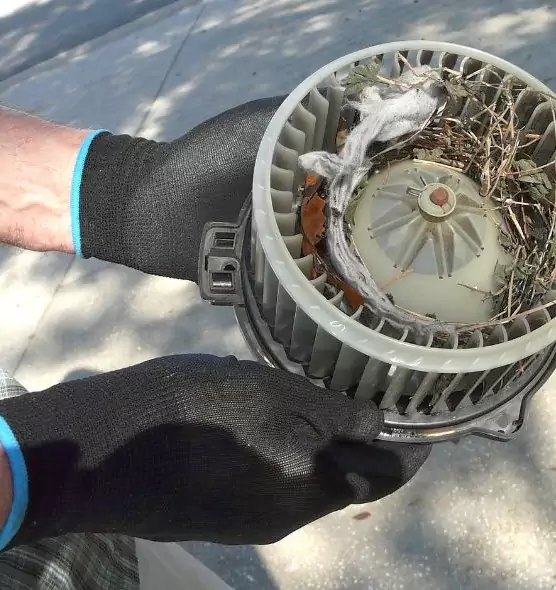 About Air Duct Rat Removal in Covina, CA