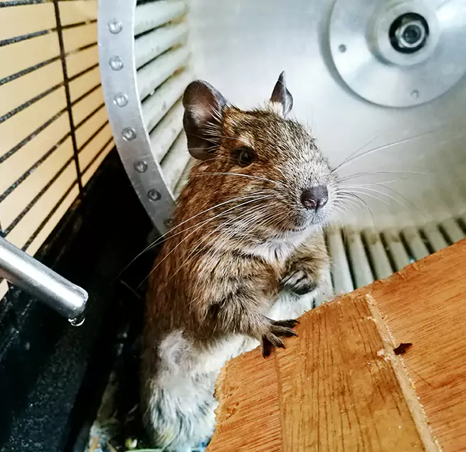 Why Homeowners & Businesses Trust Us Covina, CA?