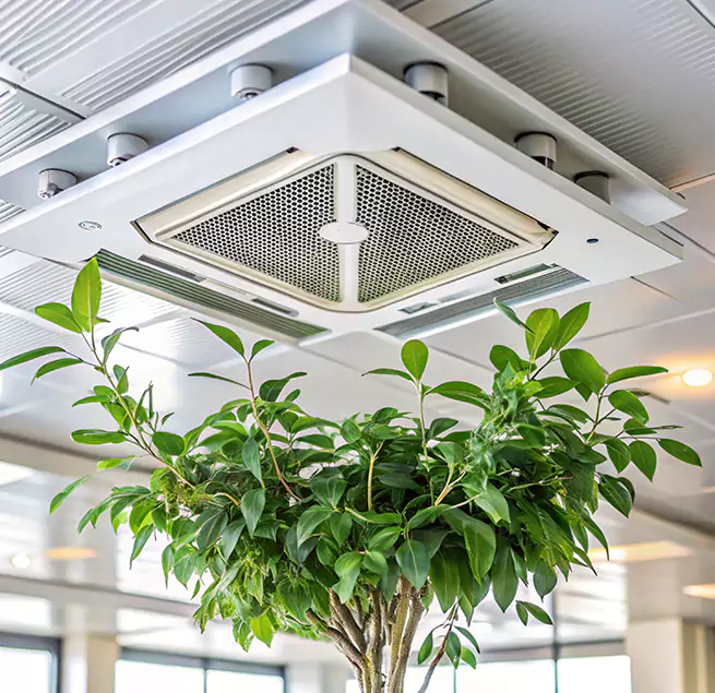 Why Homeowners & Businesses Trust Us in Covina, CA?